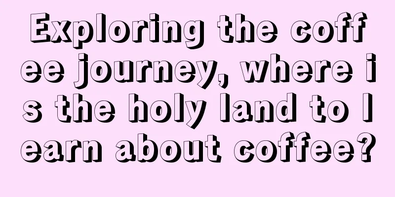 Exploring the coffee journey, where is the holy land to learn about coffee?