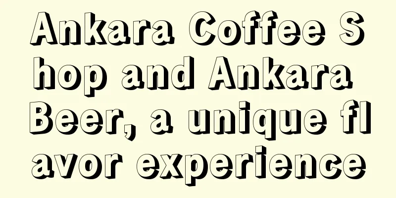 Ankara Coffee Shop and Ankara Beer, a unique flavor experience