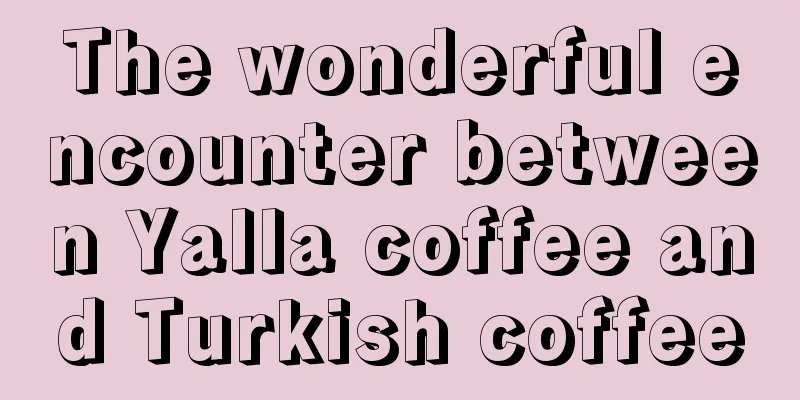 The wonderful encounter between Yalla coffee and Turkish coffee