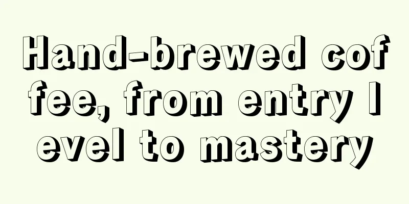 Hand-brewed coffee, from entry level to mastery