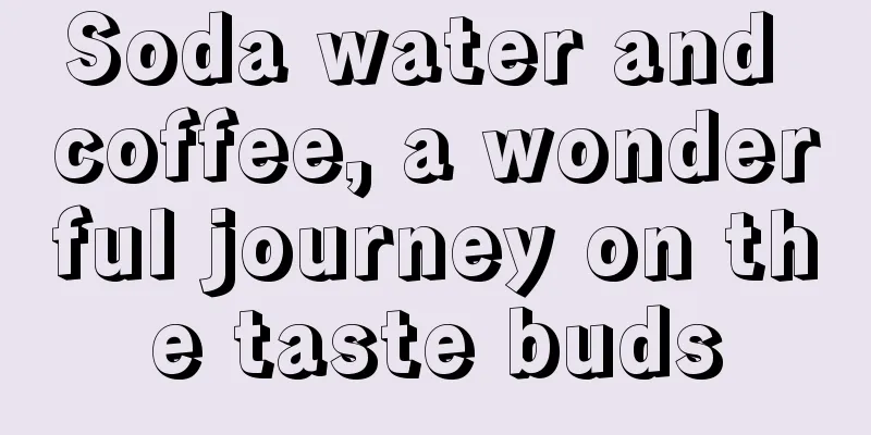 Soda water and coffee, a wonderful journey on the taste buds