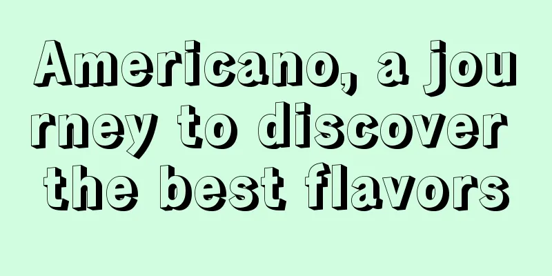 Americano, a journey to discover the best flavors