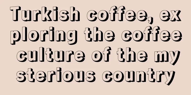 Turkish coffee, exploring the coffee culture of the mysterious country