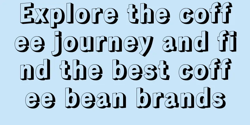 Explore the coffee journey and find the best coffee bean brands