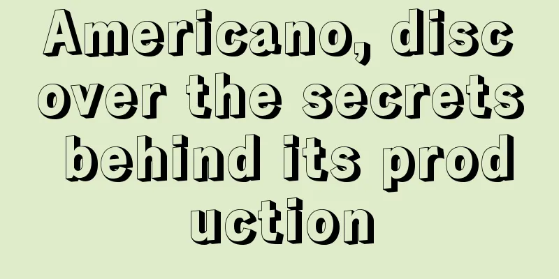 Americano, discover the secrets behind its production