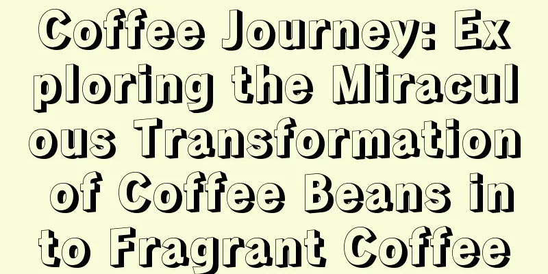 Coffee Journey: Exploring the Miraculous Transformation of Coffee Beans into Fragrant Coffee