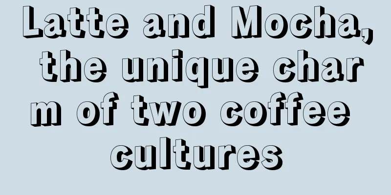 Latte and Mocha, the unique charm of two coffee cultures