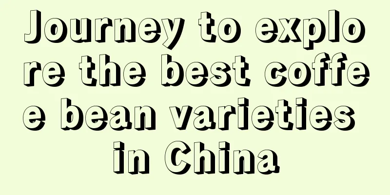 Journey to explore the best coffee bean varieties in China