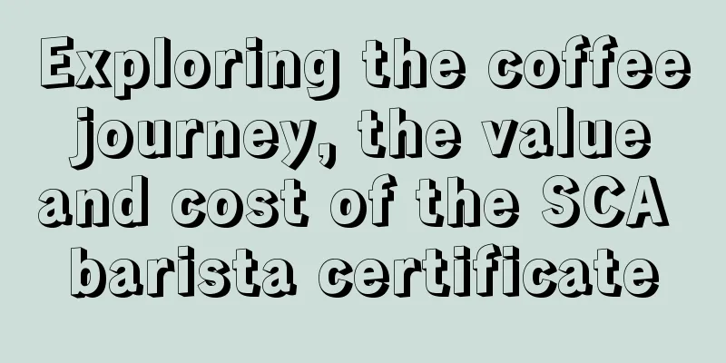 Exploring the coffee journey, the value and cost of the SCA barista certificate