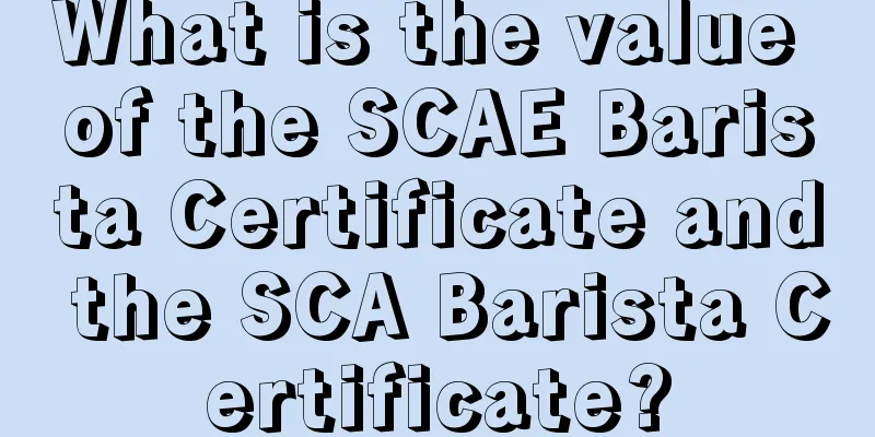 What is the value of the SCAE Barista Certificate and the SCA Barista Certificate?