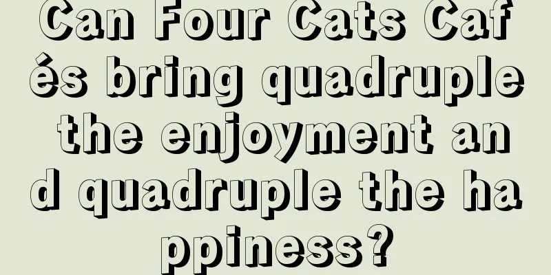 Can Four Cats Cafés bring quadruple the enjoyment and quadruple the happiness?