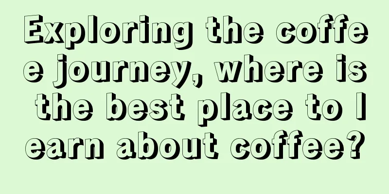 Exploring the coffee journey, where is the best place to learn about coffee?