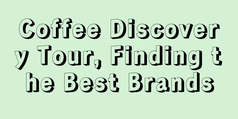 Coffee Discovery Tour, Finding the Best Brands