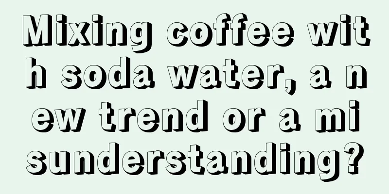 Mixing coffee with soda water, a new trend or a misunderstanding?