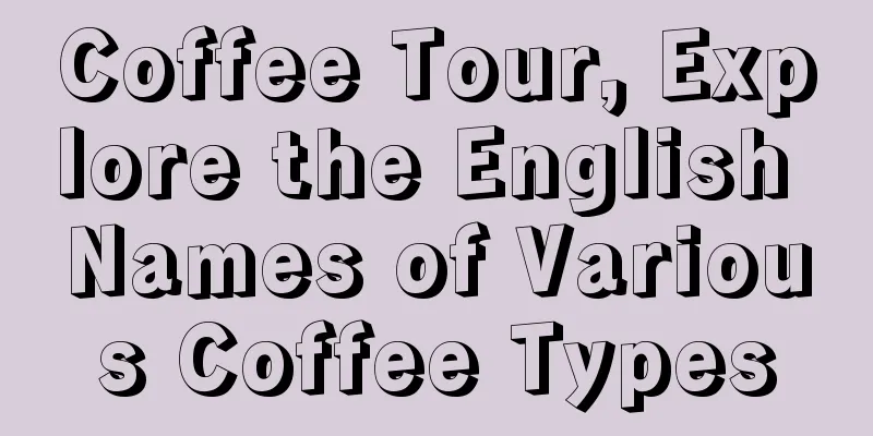 Coffee Tour, Explore the English Names of Various Coffee Types