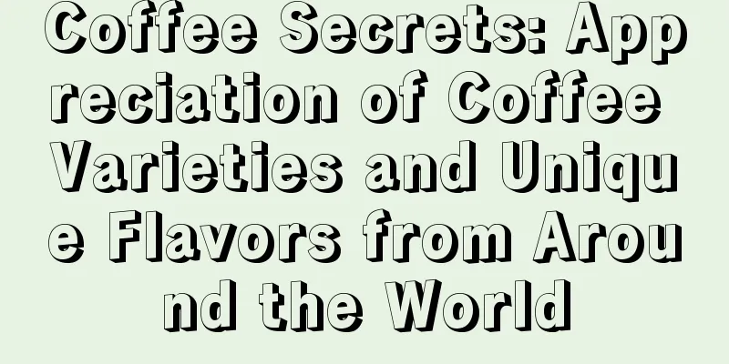 Coffee Secrets: Appreciation of Coffee Varieties and Unique Flavors from Around the World