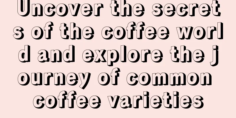 Uncover the secrets of the coffee world and explore the journey of common coffee varieties