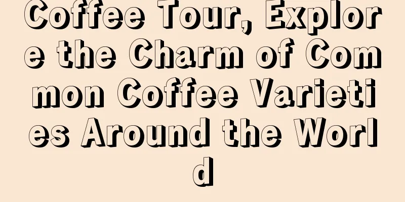 Coffee Tour, Explore the Charm of Common Coffee Varieties Around the World