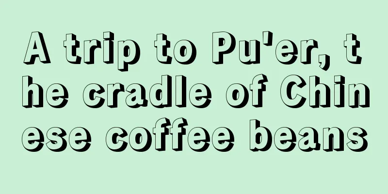 A trip to Pu'er, the cradle of Chinese coffee beans