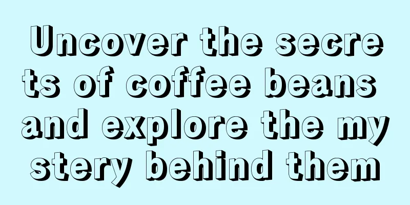 Uncover the secrets of coffee beans and explore the mystery behind them