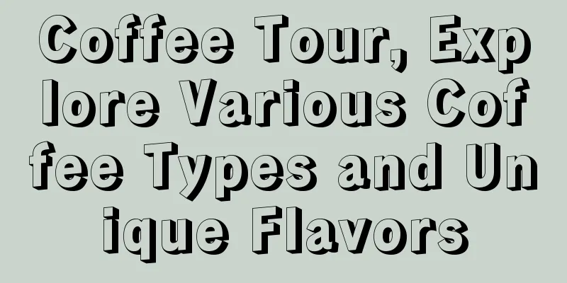 Coffee Tour, Explore Various Coffee Types and Unique Flavors