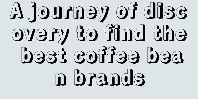 A journey of discovery to find the best coffee bean brands