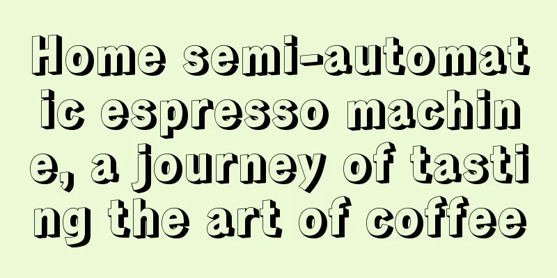 Home semi-automatic espresso machine, a journey of tasting the art of coffee