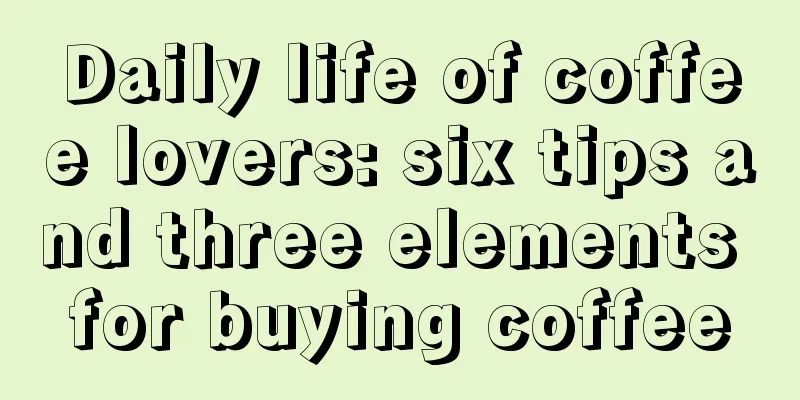 Daily life of coffee lovers: six tips and three elements for buying coffee