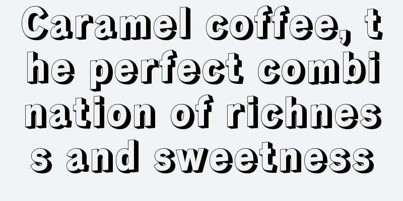 Caramel coffee, the perfect combination of richness and sweetness