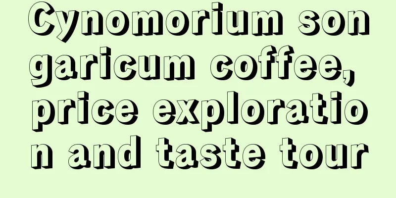 Cynomorium songaricum coffee, price exploration and taste tour