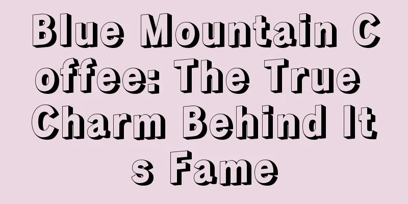 Blue Mountain Coffee: The True Charm Behind Its Fame