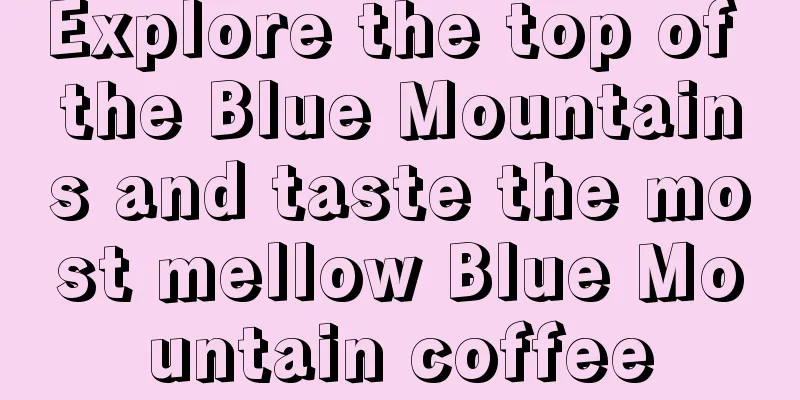 Explore the top of the Blue Mountains and taste the most mellow Blue Mountain coffee