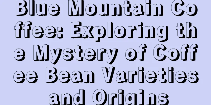 Blue Mountain Coffee: Exploring the Mystery of Coffee Bean Varieties and Origins