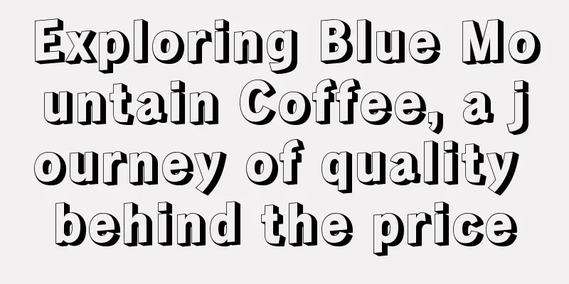 Exploring Blue Mountain Coffee, a journey of quality behind the price