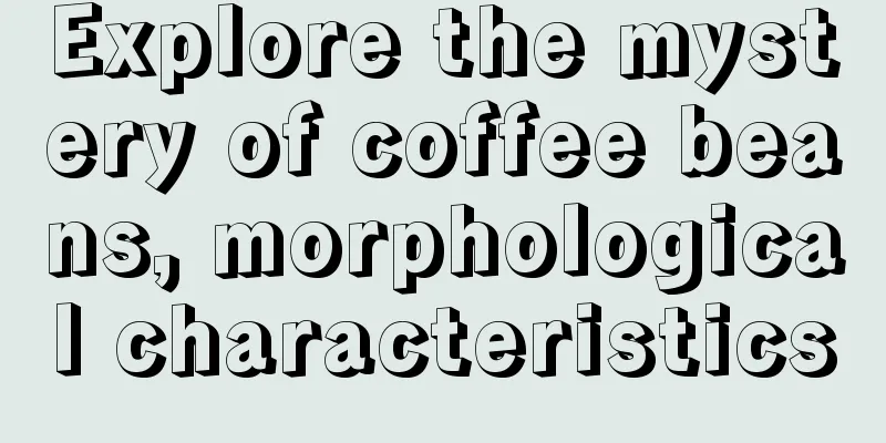 Explore the mystery of coffee beans, morphological characteristics