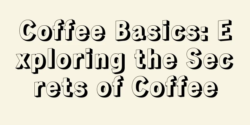 Coffee Basics: Exploring the Secrets of Coffee