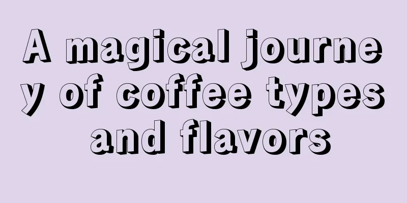 A magical journey of coffee types and flavors