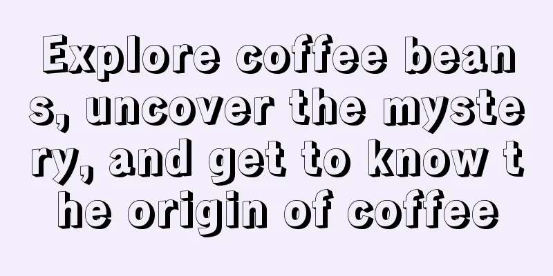 Explore coffee beans, uncover the mystery, and get to know the origin of coffee