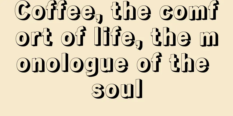 Coffee, the comfort of life, the monologue of the soul