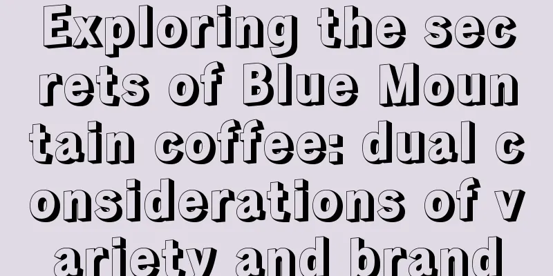 Exploring the secrets of Blue Mountain coffee: dual considerations of variety and brand