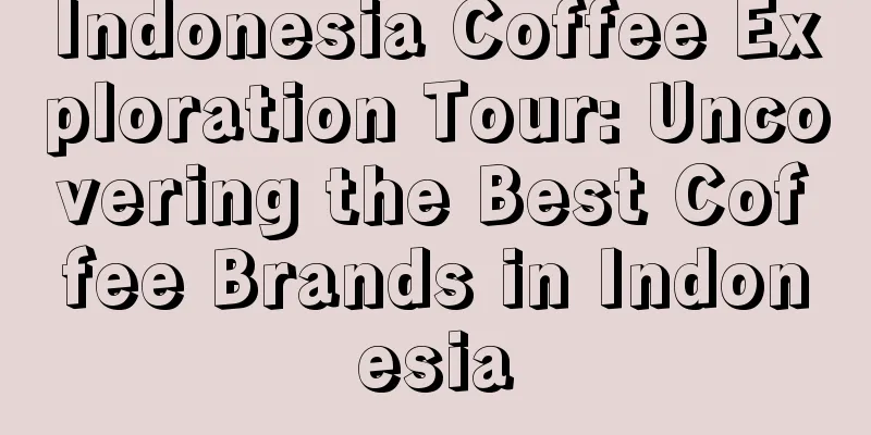 Indonesia Coffee Exploration Tour: Uncovering the Best Coffee Brands in Indonesia