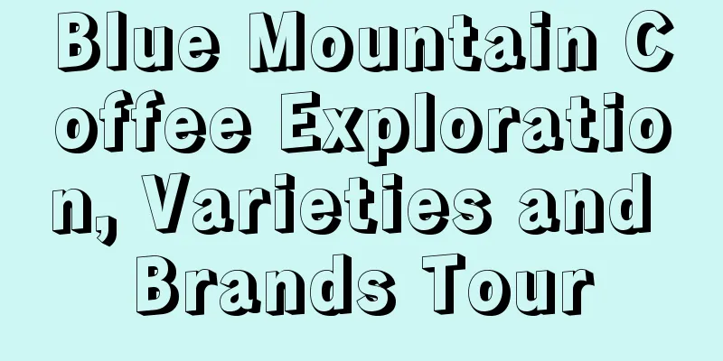 Blue Mountain Coffee Exploration, Varieties and Brands Tour