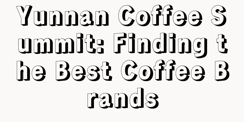 Yunnan Coffee Summit: Finding the Best Coffee Brands