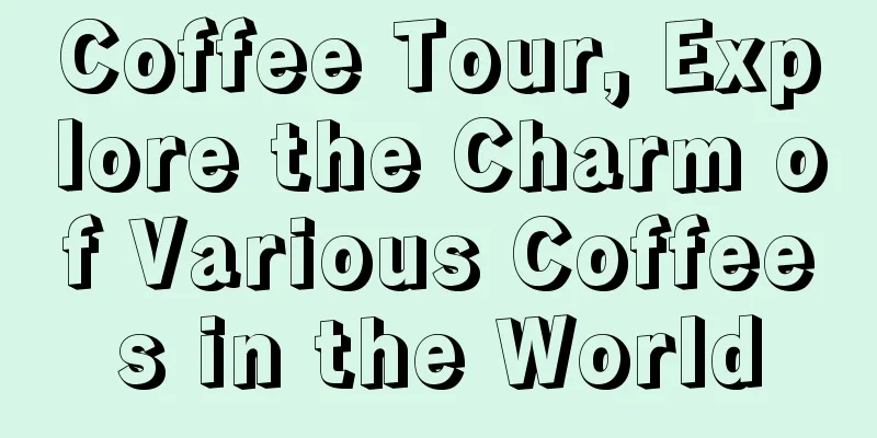 Coffee Tour, Explore the Charm of Various Coffees in the World