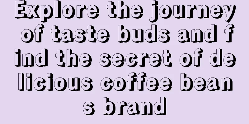 Explore the journey of taste buds and find the secret of delicious coffee beans brand