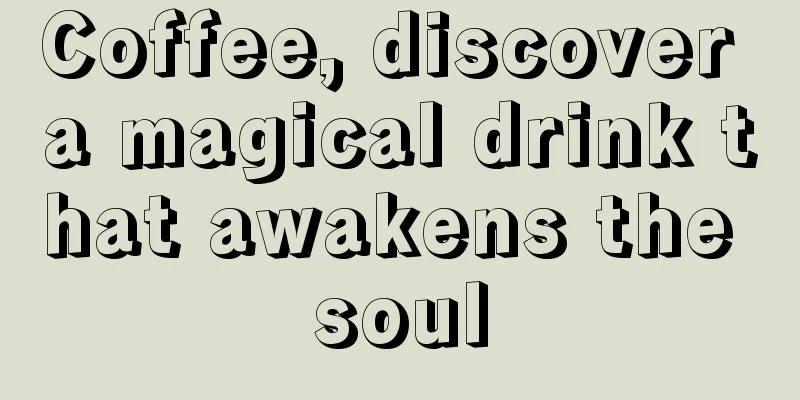 Coffee, discover a magical drink that awakens the soul