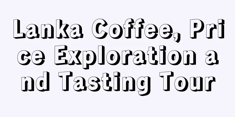 Lanka Coffee, Price Exploration and Tasting Tour