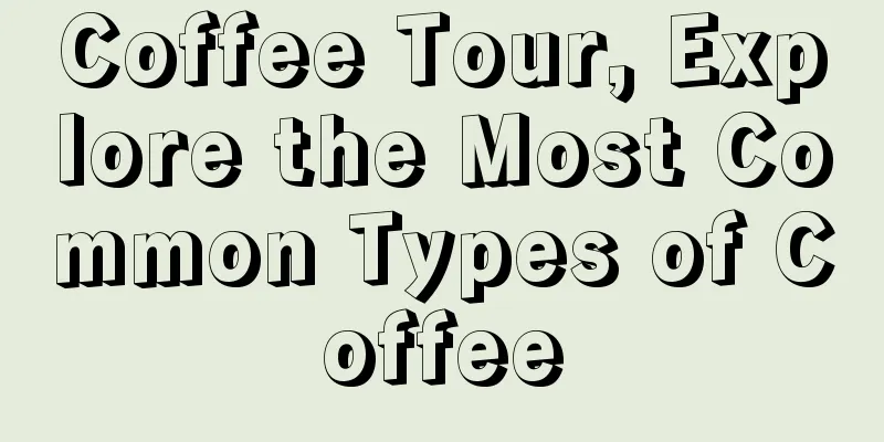 Coffee Tour, Explore the Most Common Types of Coffee