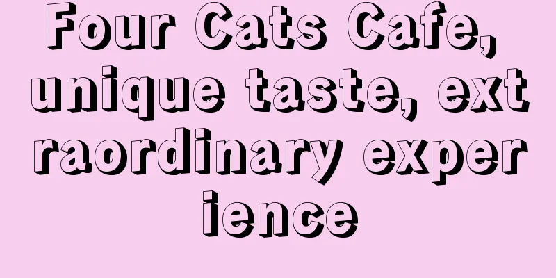 Four Cats Cafe, unique taste, extraordinary experience