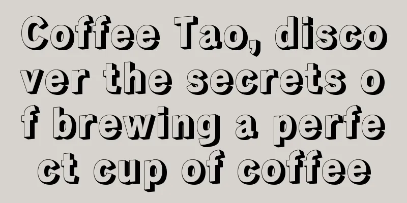 Coffee Tao, discover the secrets of brewing a perfect cup of coffee